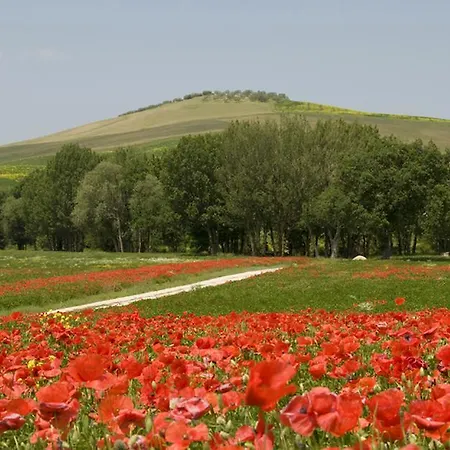 Gospodarstwo agroturystyczne Lunadoro Monticchiello